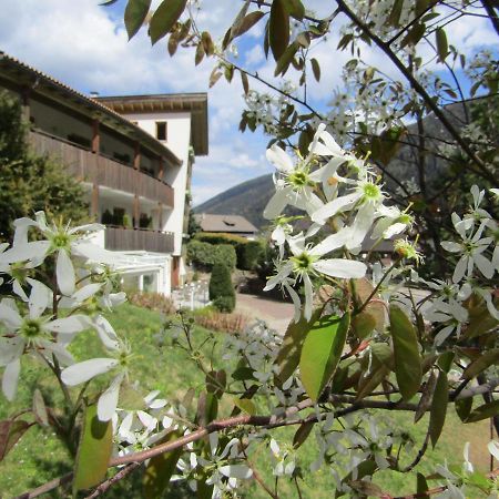 Natur Pur Hotel Unterpichl Ultimo Exterior foto